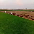 ثيل سي 2000صافي وطبيعي الموقع الخرج