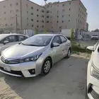 القطيف