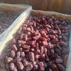 250 كرتون خضري حبه طيبه وسط