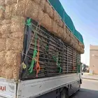 تبن البيع الطول 85 القصيم بريده
