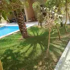 مشتل تنسيق حدائق ربيع الزهور والاشجار والتيل