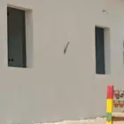 مليس مصري داخلي وخارجي القوز