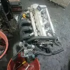 مكاين لاند كروزر هايلكس كامري شد بلادها تشليح