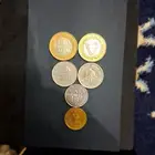 عملات على السوم ولا يجي الا صامل