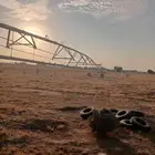 رشاش محوري للبيع