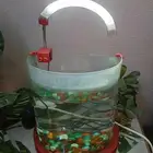 حوض اسماك معاه سمكتين وأكل