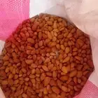 لوز بلدى ممتاز