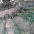 يوجد لدينا عمال للتواصل