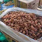 للبيع تمر اخلاص كميه 2000كرتون