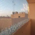 مانع تجمع الحمام فوق المنازل