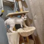 للبيع مع جميع أغراضه