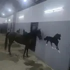 مهره
