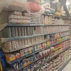 اكل ومستلزمات قطط بريطاني امريكي سيبيري مصري