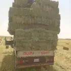 الرياض. رودس. طيب. مره. العدد. 204. حبه. واصل. اي مكان