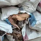 يابس زيتون ح ط ب