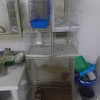 للبيع اقفاص