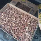 باقي 6كراتين صقعي وخلاص