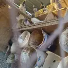 السلام عليكم حمام باكستاني. للبيع