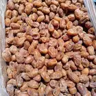 مطلوب تمر فله