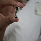 كبك اصلي