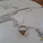 ختام شرف الشمس