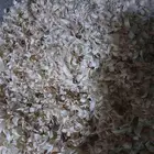 نشاره خيل