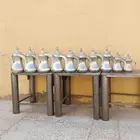 دلال سوريات