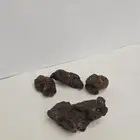 العكبر السعودي الأصلي