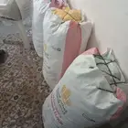خبز مفتفت صغير للغنم