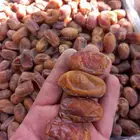 تمور اخلاص للبيع