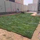نجيل( ثيل) طبيعي سي الفين