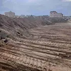 طين زراعي فيه كشور زفلت وحجر صغير