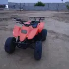 دباب سويدي