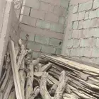 دمر شجر عرعر قديم