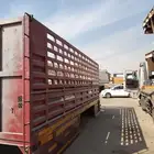 صندوق مسكس شبك