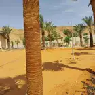 تركيب جميع شبكات ري اوتوماتيك وصيانه الشبكات الري وتاسيس شب