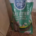 مستلزمات قطط