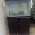 حوظ سمك مع جزامه