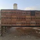 خلايا نحل فاضيه