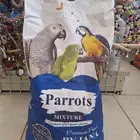 اكل كاسكوكناري كنيو كروان روز بلجيكي اكل طيور