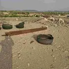 شبوك حلال للبيع