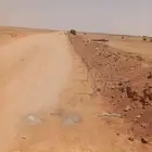 شبوك مزارع توريد وتركيب جميع انواع الشبوك