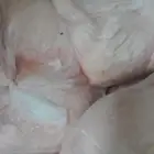 شحم سواكني وحري كميات