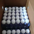 بيض مائده طازج