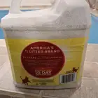 رمل قطط تايدي كات tidy cats