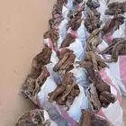 حطب ارطا شرط يبس خايش 15 كلو