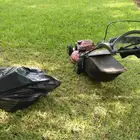 تكريب جميع انواع النخل العربي 1