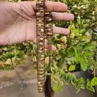 سبح بتصميم يوناني فخمة