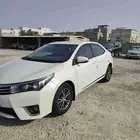 القطيف
