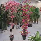 شجرة الجهنميه